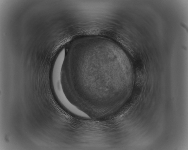 X0000097880681200803281224