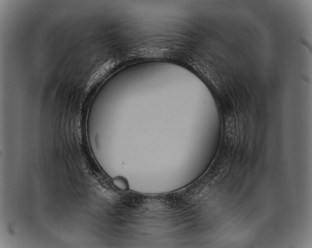 X0000097880682200803281224