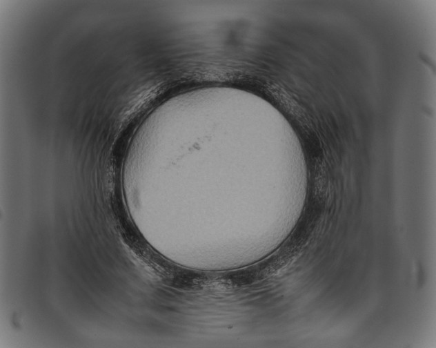 X0000097880683200803281224