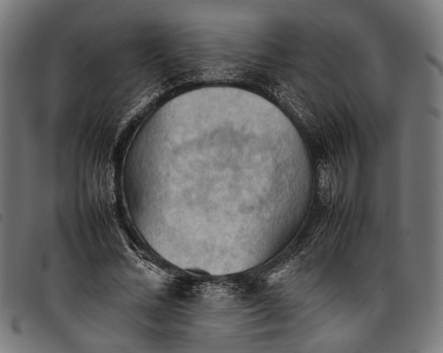 X0000097880684200803281224