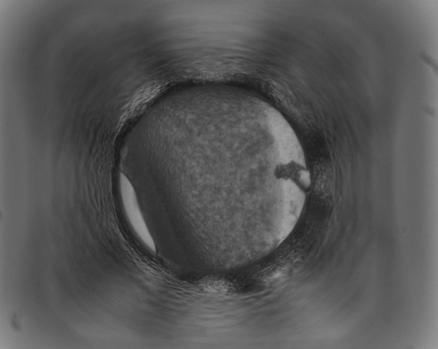 X0000097880685200803281224