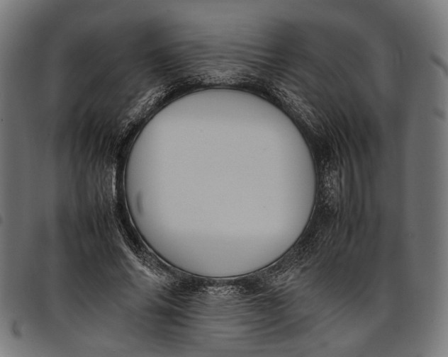 X0000097880686200803281224