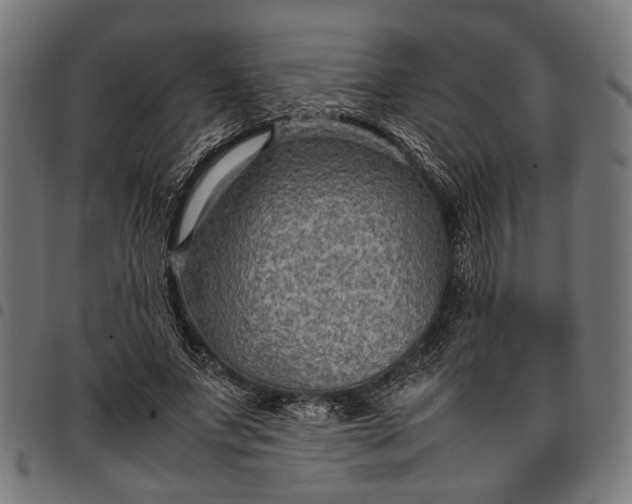 X0000097880687200803281224