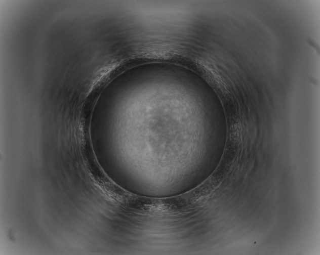 X0000097880688200803281224