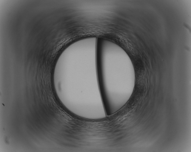 X0000097880689200803281224