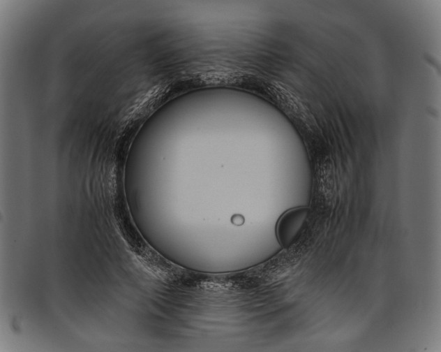 X0000097880690200803281224