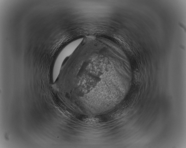 X0000097880691200803281224