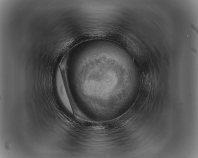 X0000097880692200803281224