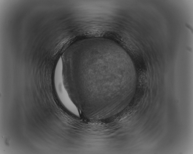 X0000097880693200803281224