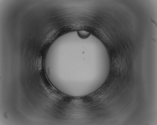 X0000097880694200803281224