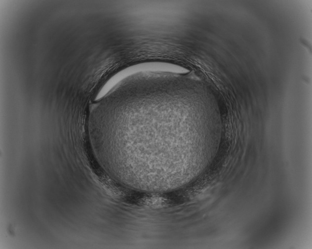 X0000097880695200803281224