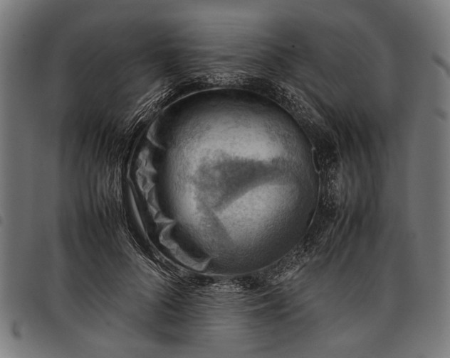 X0000097880696200803281224