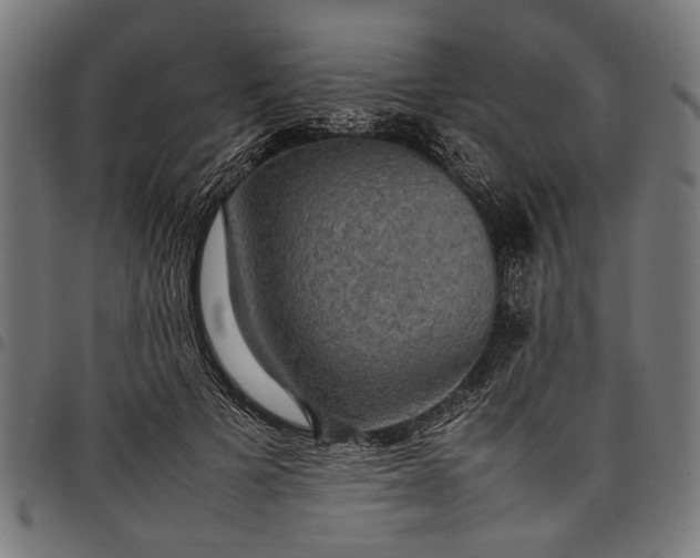 X0000097880697200803281224