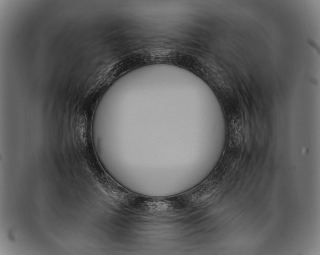 X0000097880698200803281224