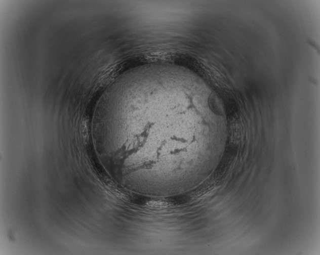 X0000097880699200803281224