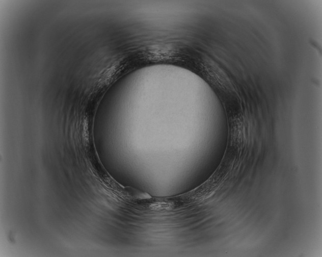 X0000097880700200803281224