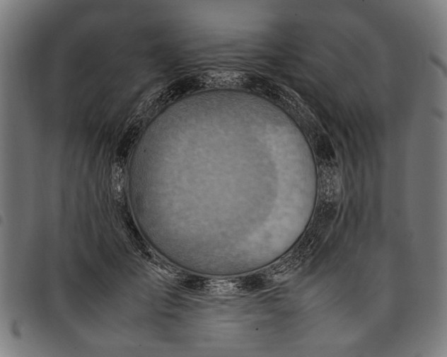 X0000097880701200803281223