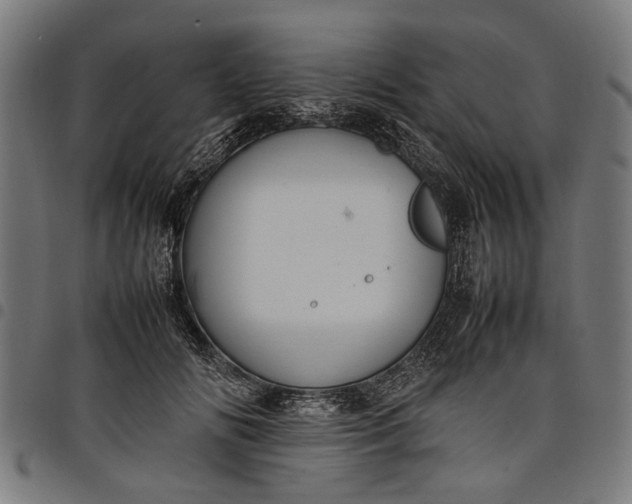 X0000097880702200803281223