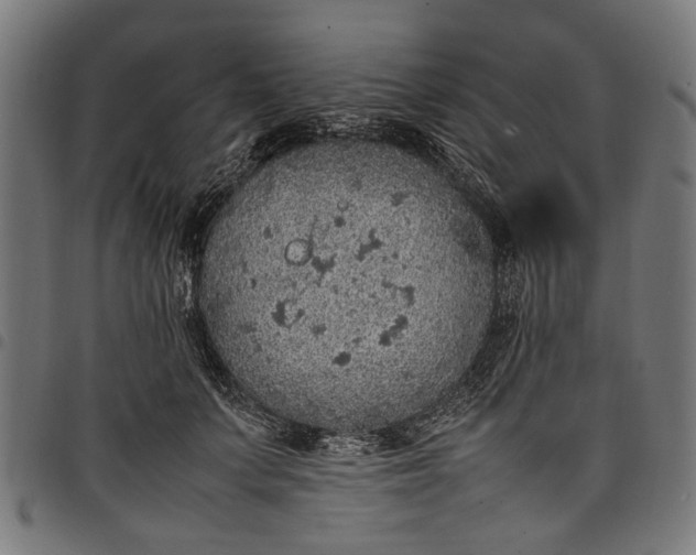 X0000097880703200803281223