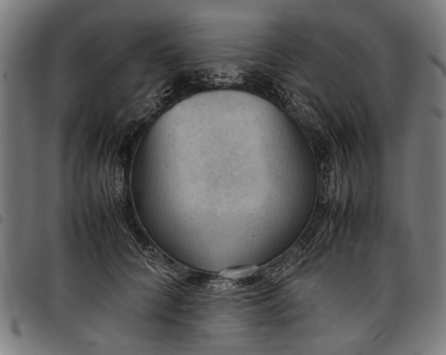 X0000097880704200803281223