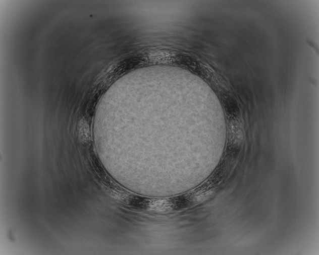 X0000097880705200803281223