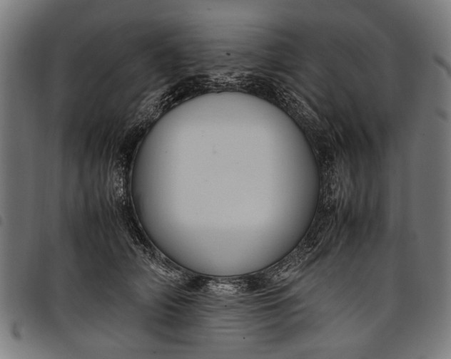 X0000097880706200803281223