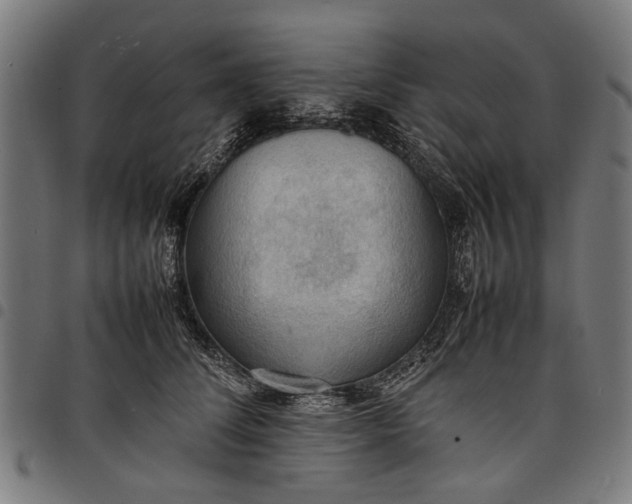 X0000097880708200803281223