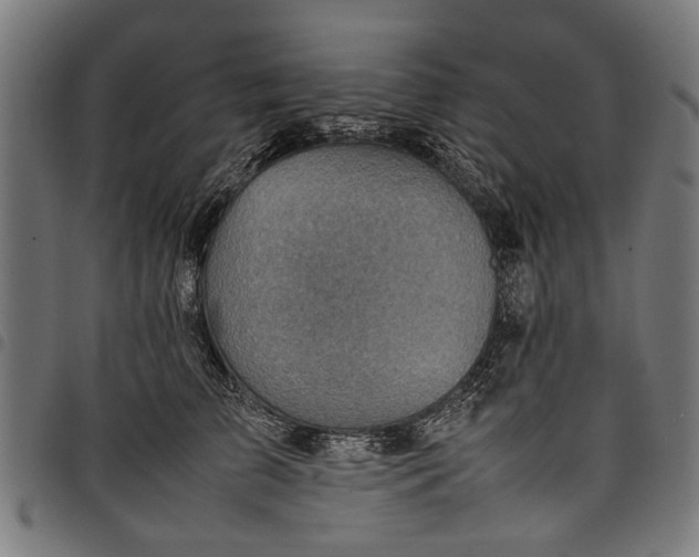 X0000097880709200803281223