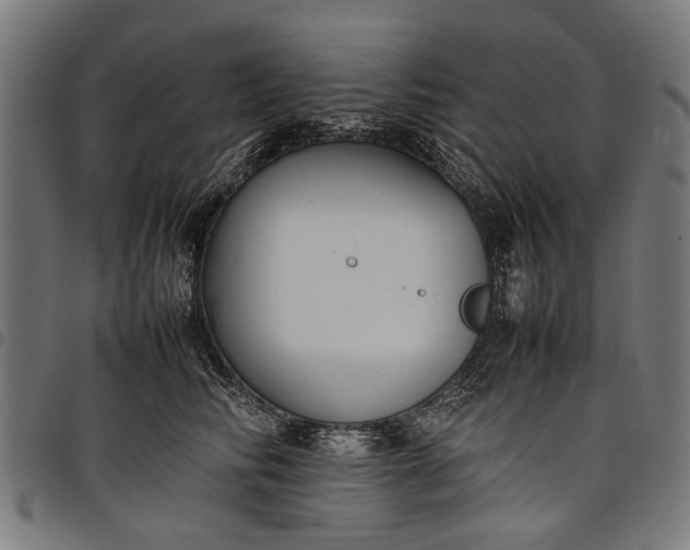 X0000097880710200803281223