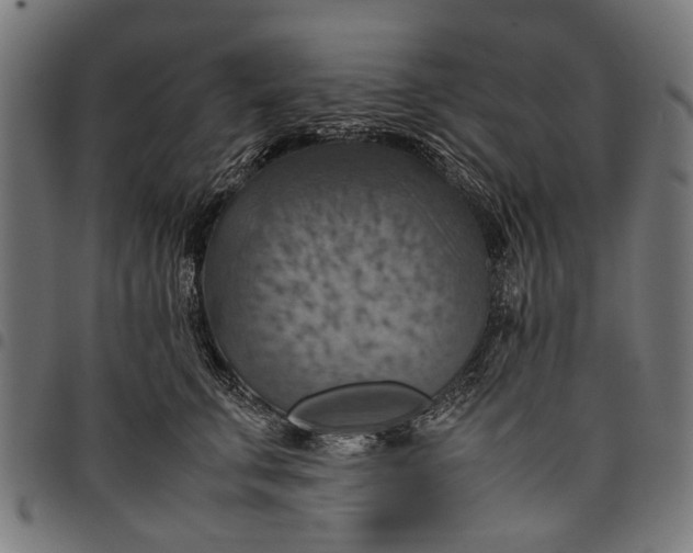 X0000097880711200803281223