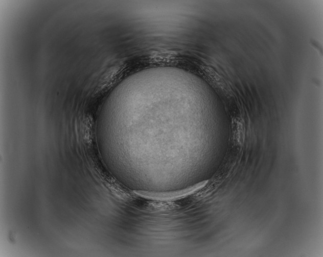 X0000097880712200803281223