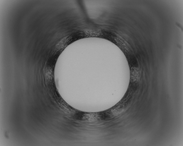 X0000097880713200803281223