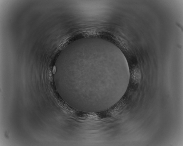 X0000097880715200803281223