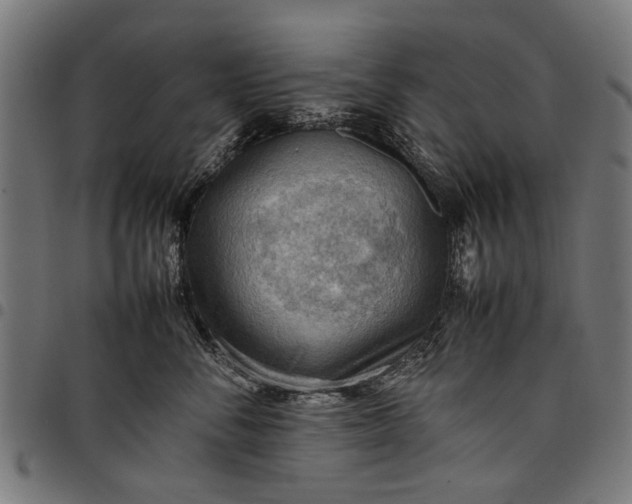 X0000097880716200803281223