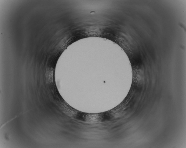 X0000097880717200803281223