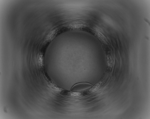 X0000097880718200803281223