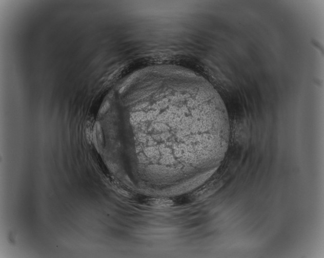 X0000097880719200803281223