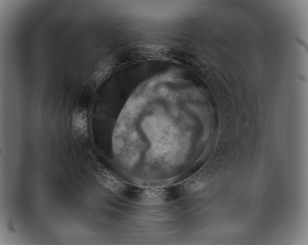 X0000097880720200803281223