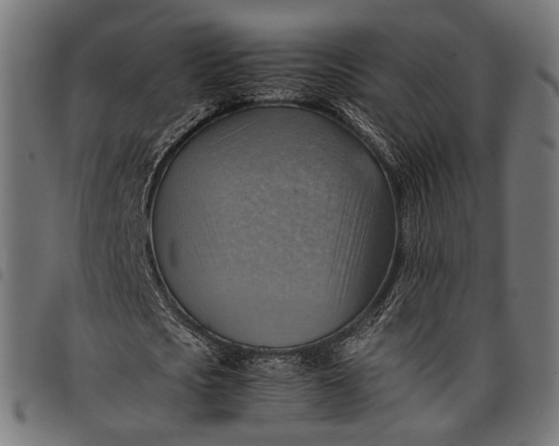 X0000097880721200803281223