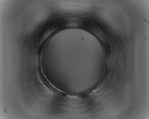 X0000097880722200803281223