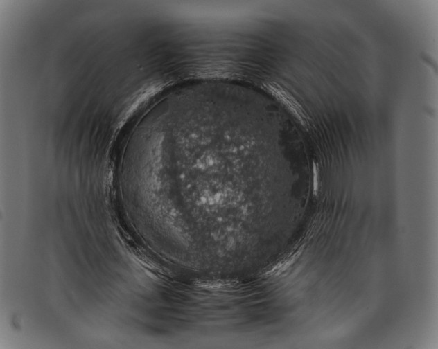 X0000097880723200803281223