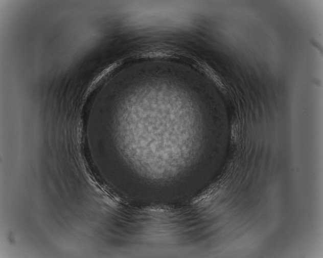 X0000097880724200803281223