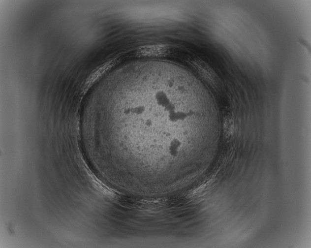 X0000097880725200803281223