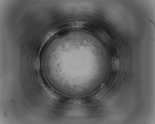 X0000097880726200803281223