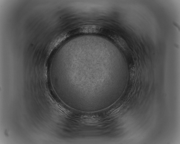 X0000097880727200803281223