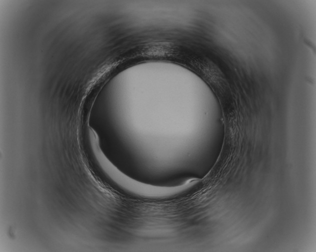 X0000097880728200803281223