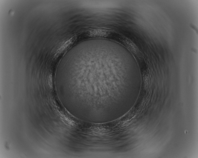 X0000097880729200803281223