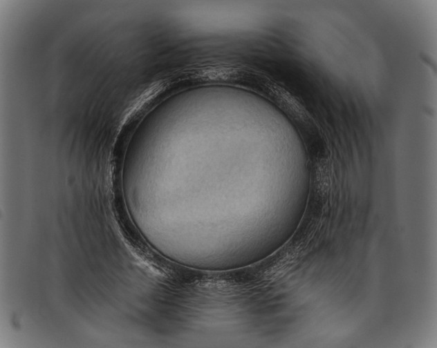 X0000097880730200803281223