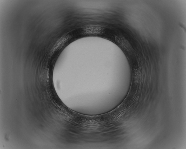 X0000097880731200803281223