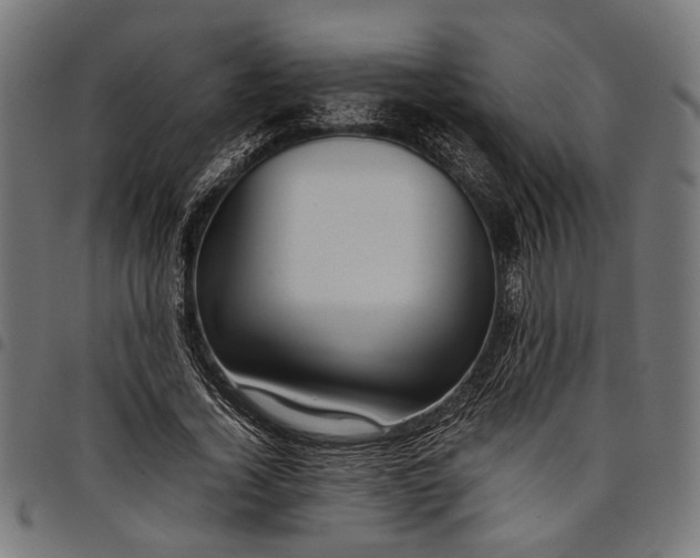 X0000097880732200803281223